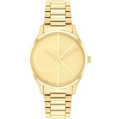 Montre Calvin Klein 25200346 ICONIC