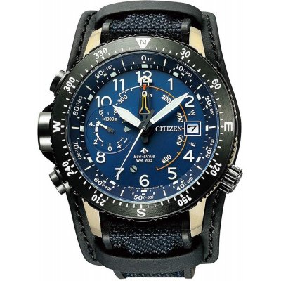Montre Citizen Land BN4055-19L Altichron