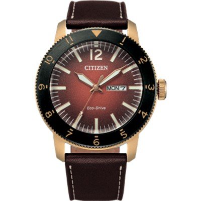 montre Citizen AW0079-13XB