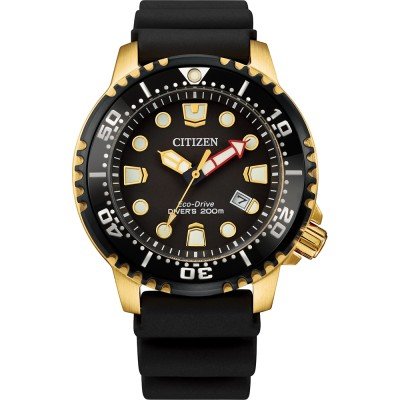 Montre Citizen Promaster BN0152-06E Promaster Dive