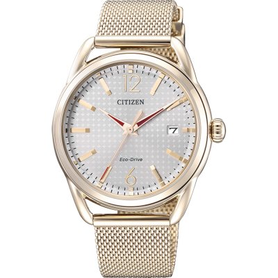 Montre Citizen FE6089-84A LTR