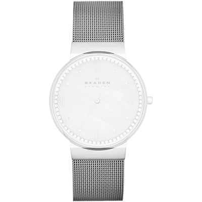 Bracelet Skagen Straps ASKW2127 SKW2127 Ancher Medium