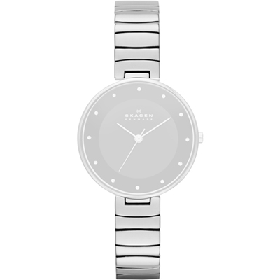 Bracelet Skagen Straps ASKW2225 SKW2225 Gitte Medium