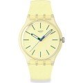 Montre Swatch Originals Large (41mm) SO29J102 Citrus Tilt