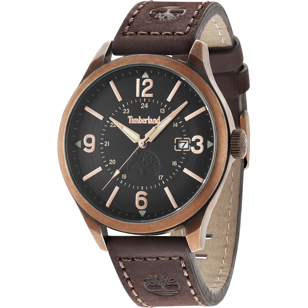 Montre Timberland TBL.14645JSQR/02 Blake