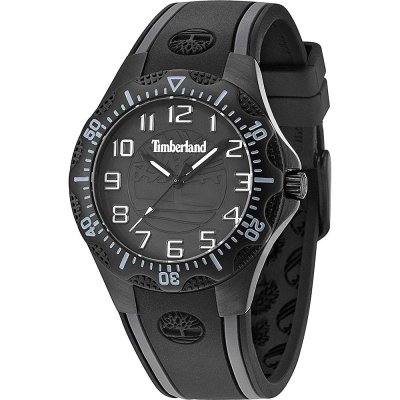 Montre Timberland TBL.14323MSB/02 Dixiville