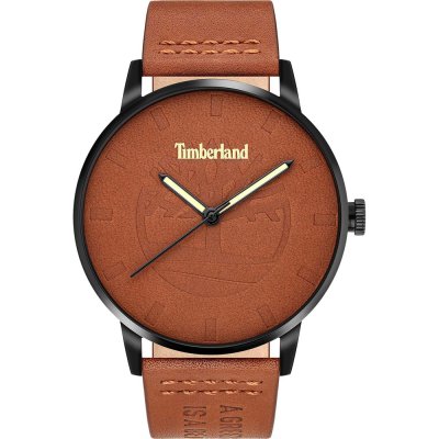 Montre Timberland TDWJA2000801 Raycroft