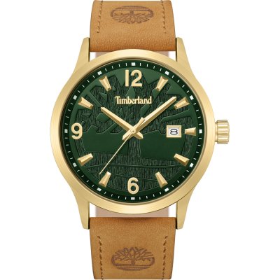 Montre Timberland TDWGB0109001 Trumbull