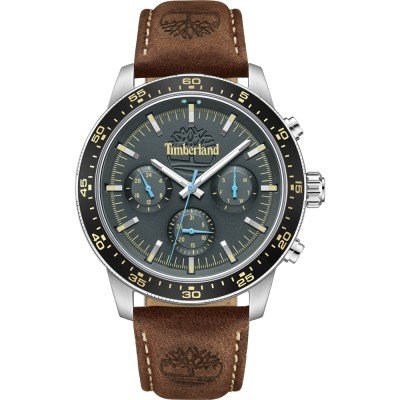 Montre Timberland TDWGF0041301 Parkman