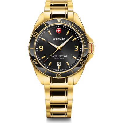 Montre Wenger 01.2031.107 Executive